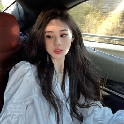 狮子狗行动